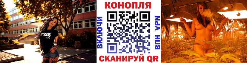 Альфа ПВП Гороховец