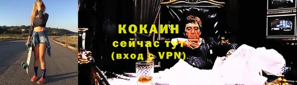 бошки Бородино