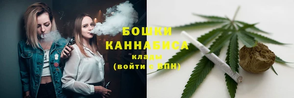 бошки Бородино