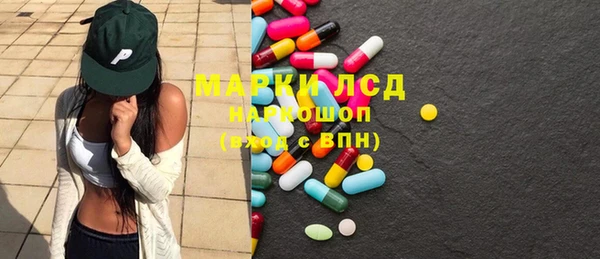 бошки Бородино
