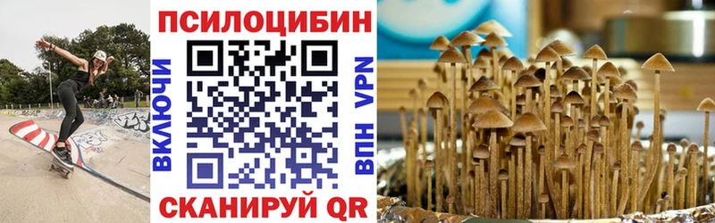 Псилоцибиновые грибы Magic Shrooms  Купить закладки  Гороховец 